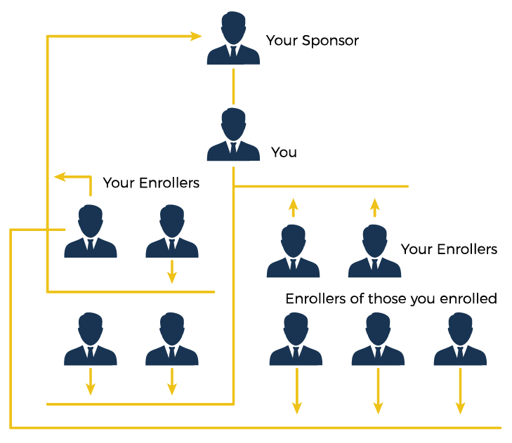 Hybrid MLM Plan Structure